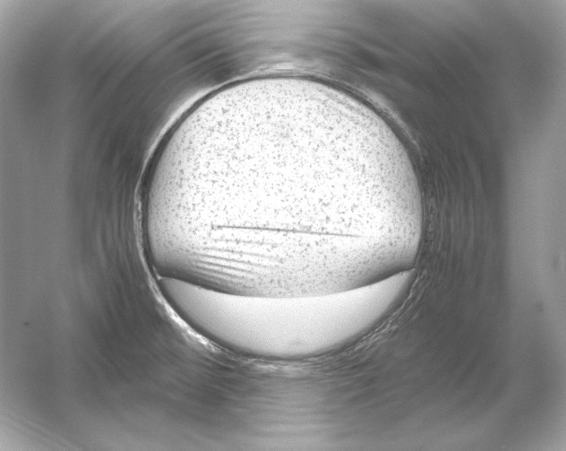 X0000051901476200507222029