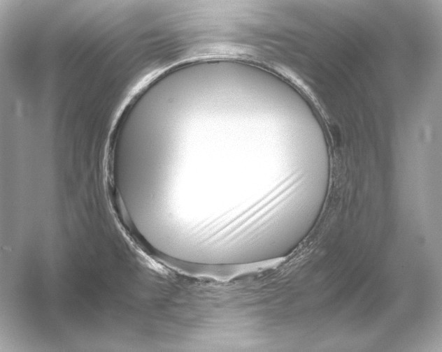 X0000051901477200507222029