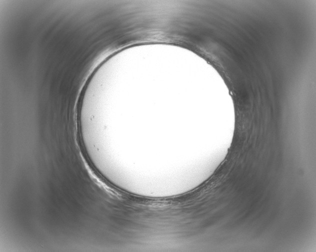 X0000051901479200507222029