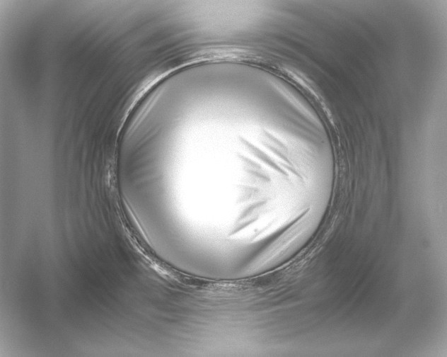 X0000051901481200507222029