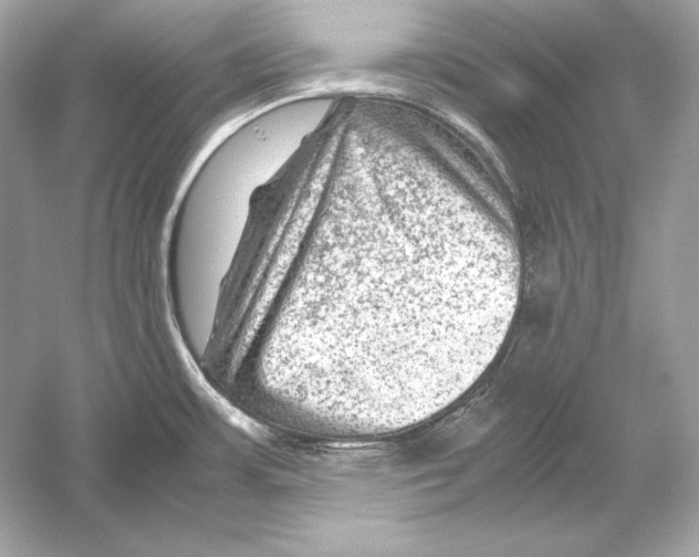 X0000051901483200507222029