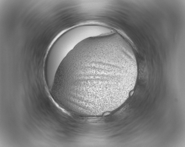 X0000051901484200507222029