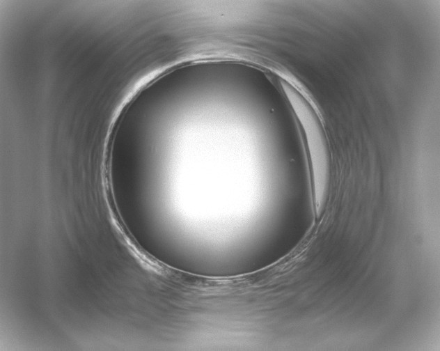 X0000051901485200507222029