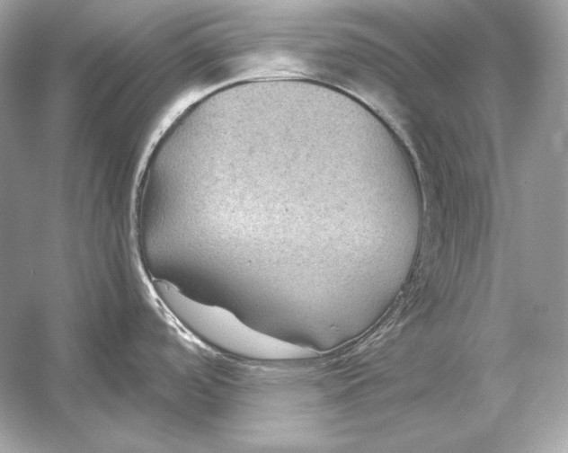 X0000051901488200507222029