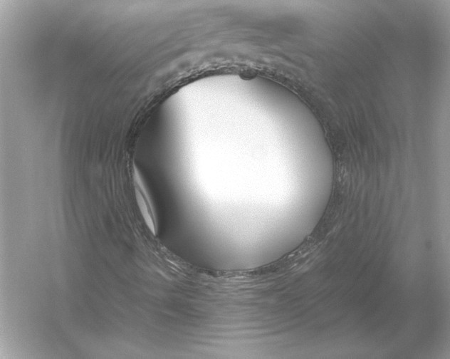 X0000051901490200507222028