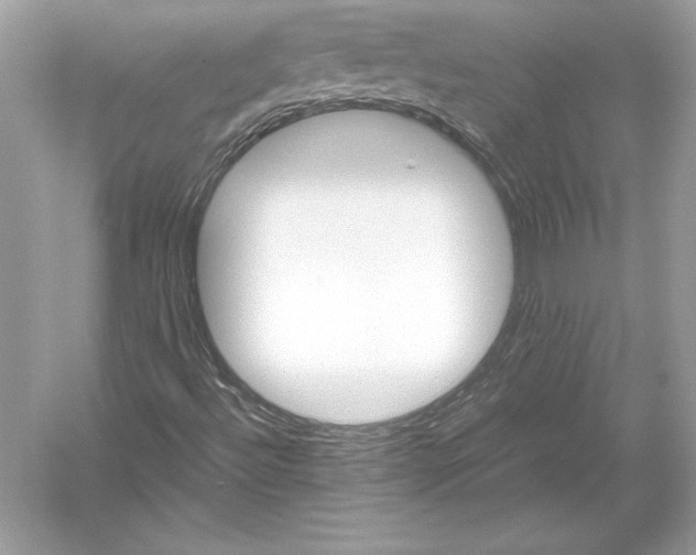 X0000051901492200507222028
