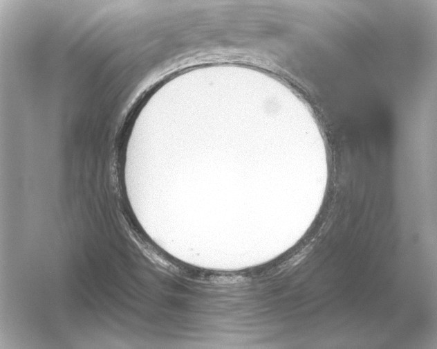 X0000051901498200507222028