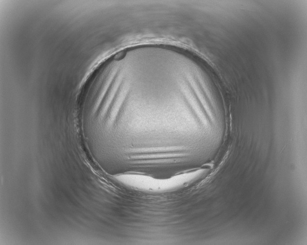 X0000051901501200507222028