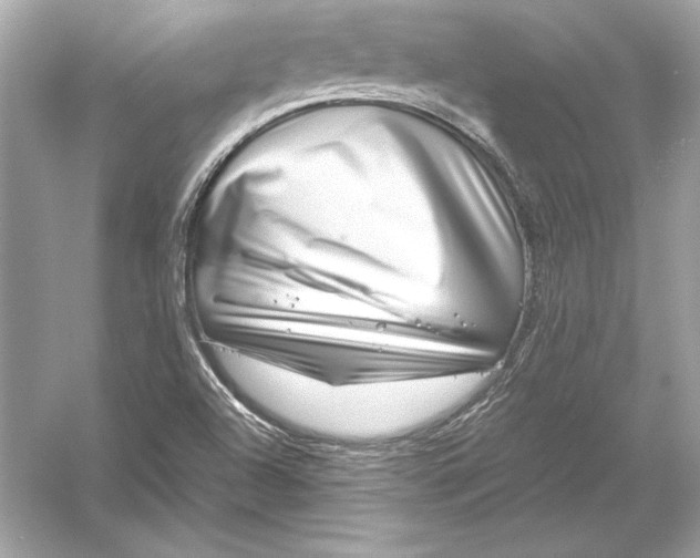 X0000051901504200507222028