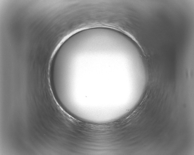 X0000051901508200507222028