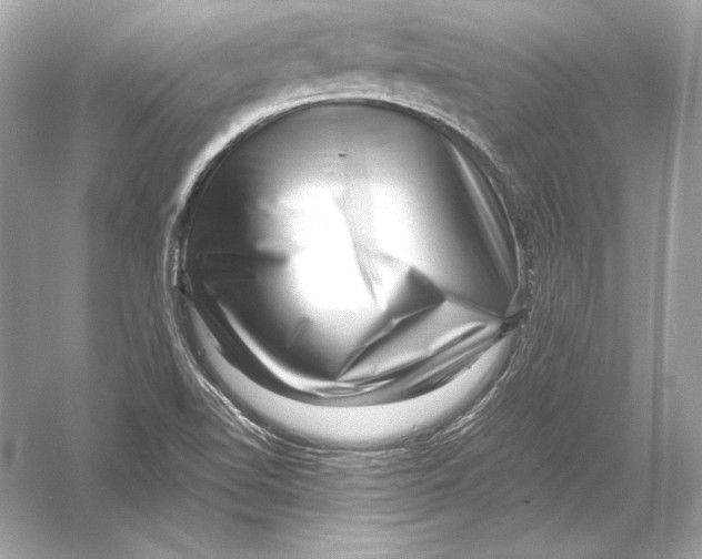 X0000051901510200507222028