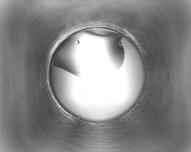 X0000051901512200507222028