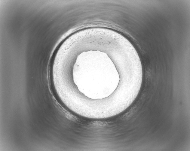 X0000051901514200507222028