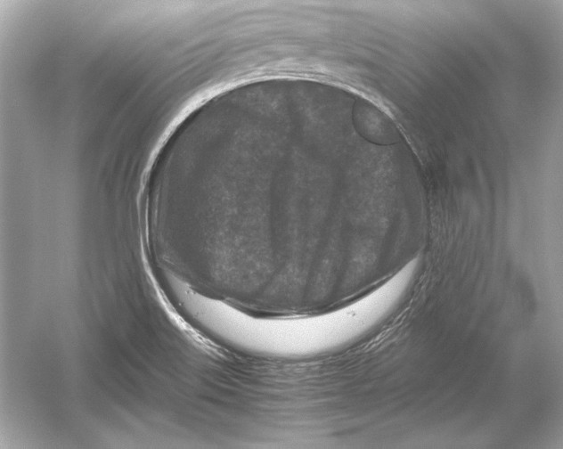 X0000051901515200507222028