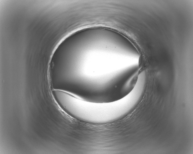 X0000051901516200507222028