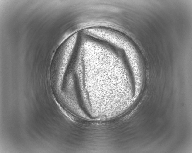 X0000051901521200507222028