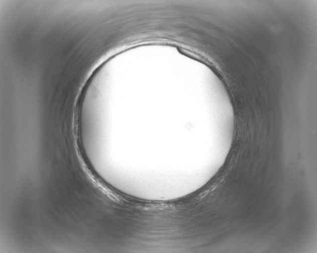 X0000051901526200507222029