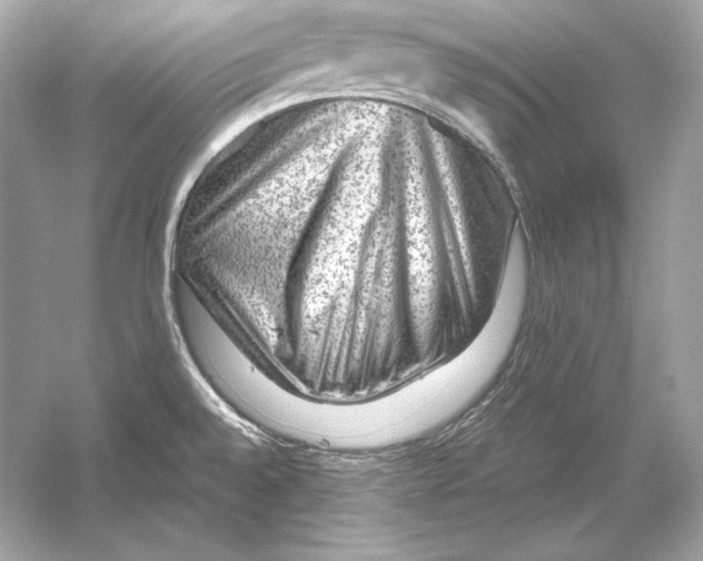 X0000051901528200507222029