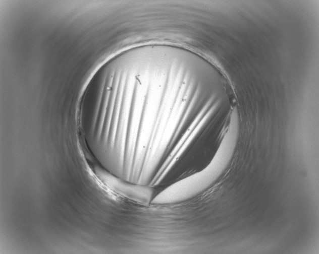 X0000051901532200507222029