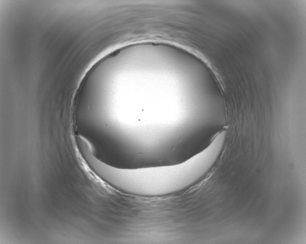 X0000051901534200507222029