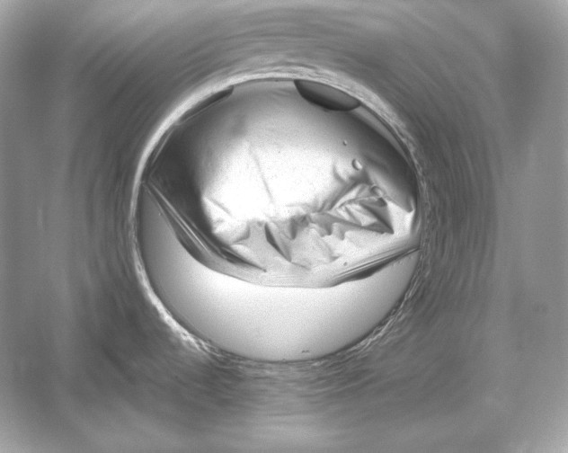 X0000051901536200507222029