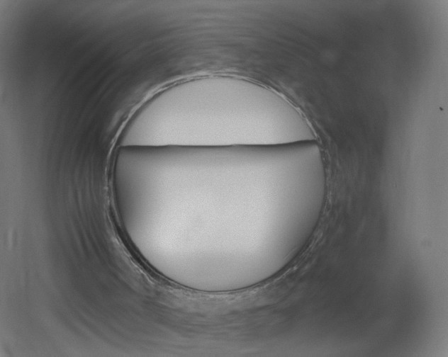 X0000051910002200506241115