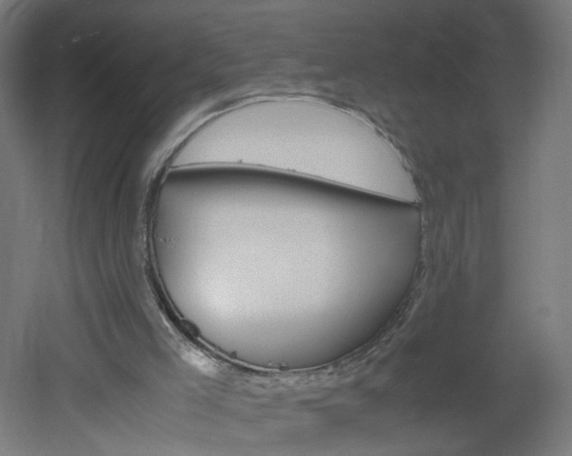 X0000051910005200506241115