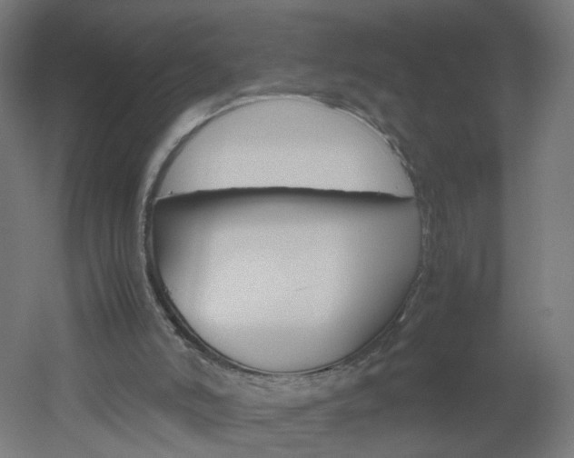 X0000051910006200506241115