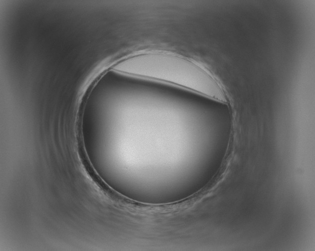 X0000051910007200506241115