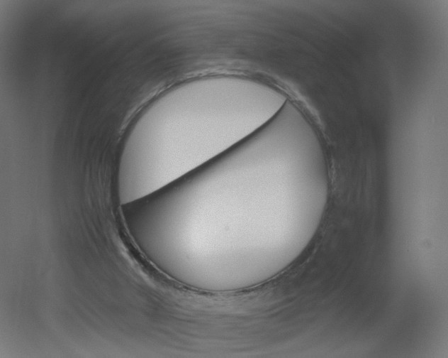 X0000051910010200506241115
