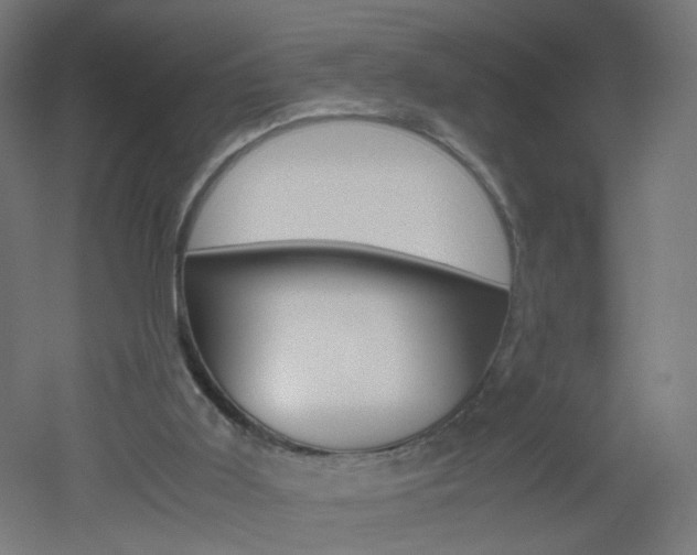 X0000051910011200506241115