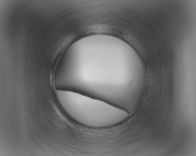 X0000051910014200506241115