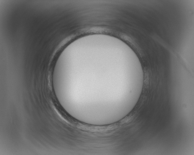 X0000051910016200506241115