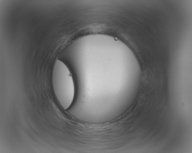 X0000051910018200506241115