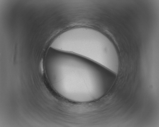 X0000051910020200506241115
