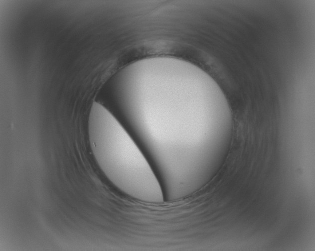 X0000051910026200506241115
