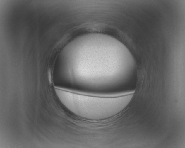 X0000051910027200506241115