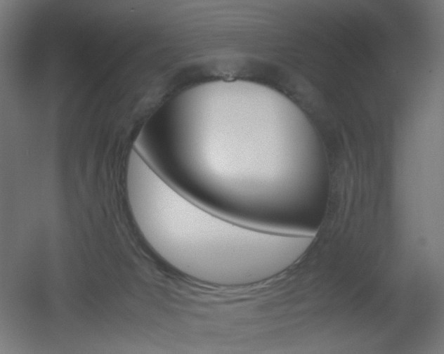 X0000051910031200506241115