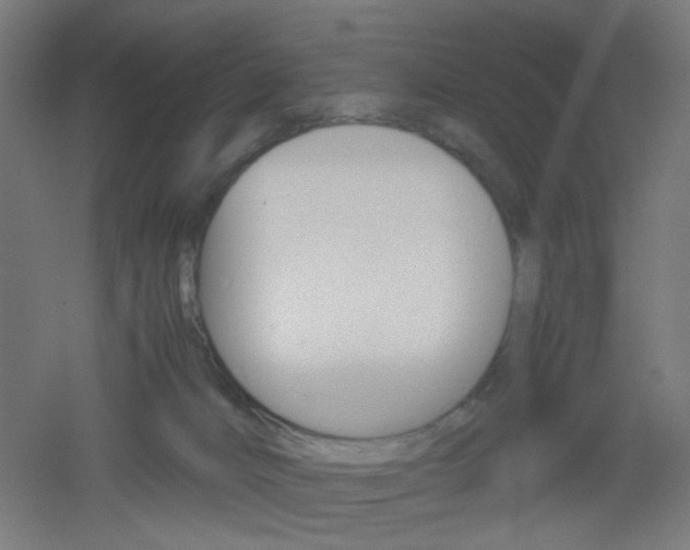 X0000051910032200506241115