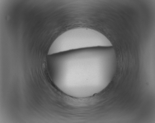 X0000051910038200506241115