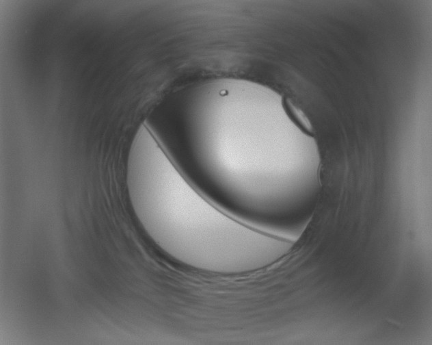 X0000051910040200506241114