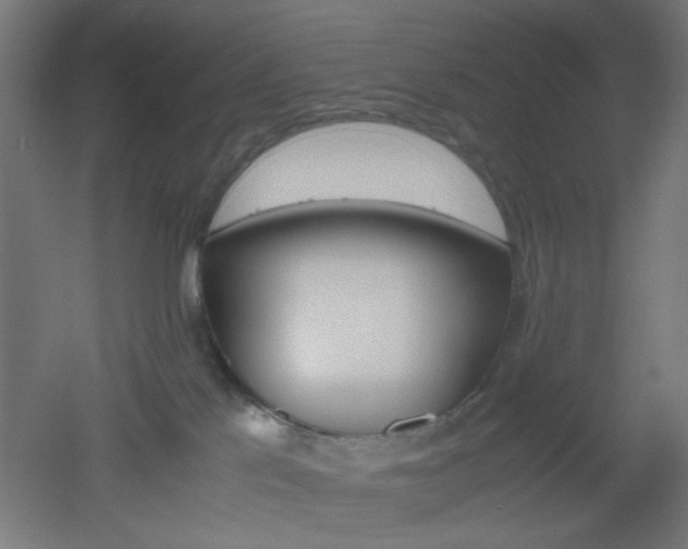 X0000051910041200506241114