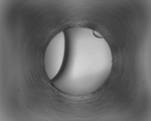 X0000051910042200506241114