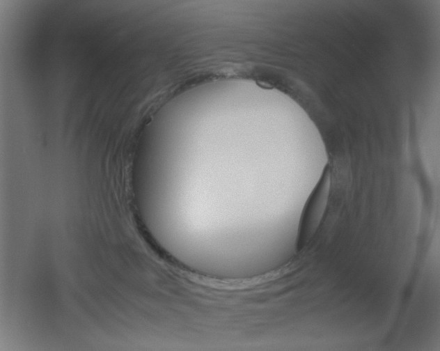 X0000051910043200506241114