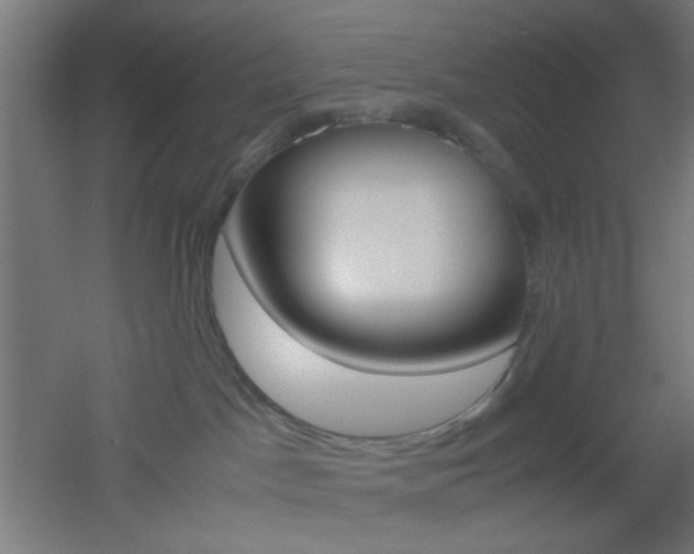 X0000051910045200506241114