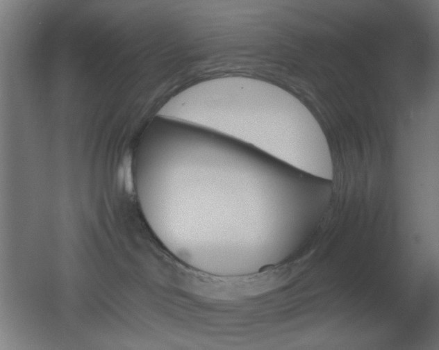 X0000051910046200506241114