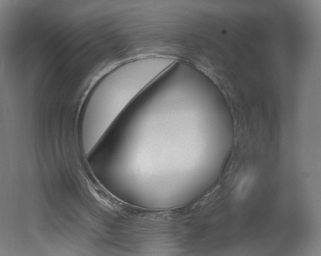 X0000051910050200506241114