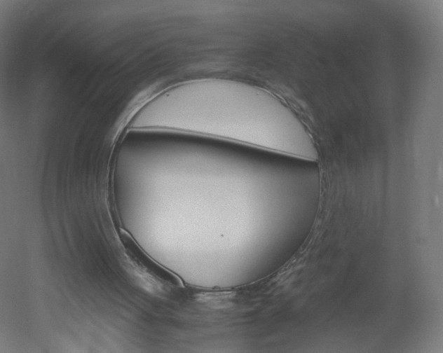 X0000051910051200506241114