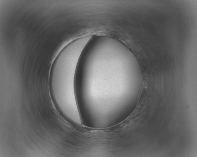 X0000051910052200506241114