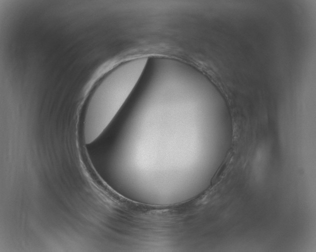 X0000051910054200506241114
